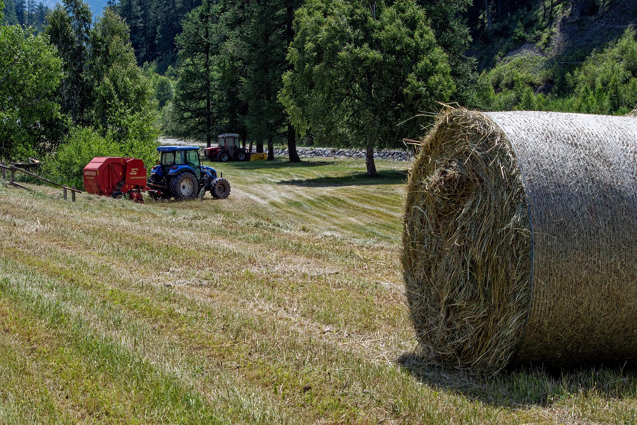 Baler Belting
